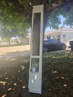 Doggy door