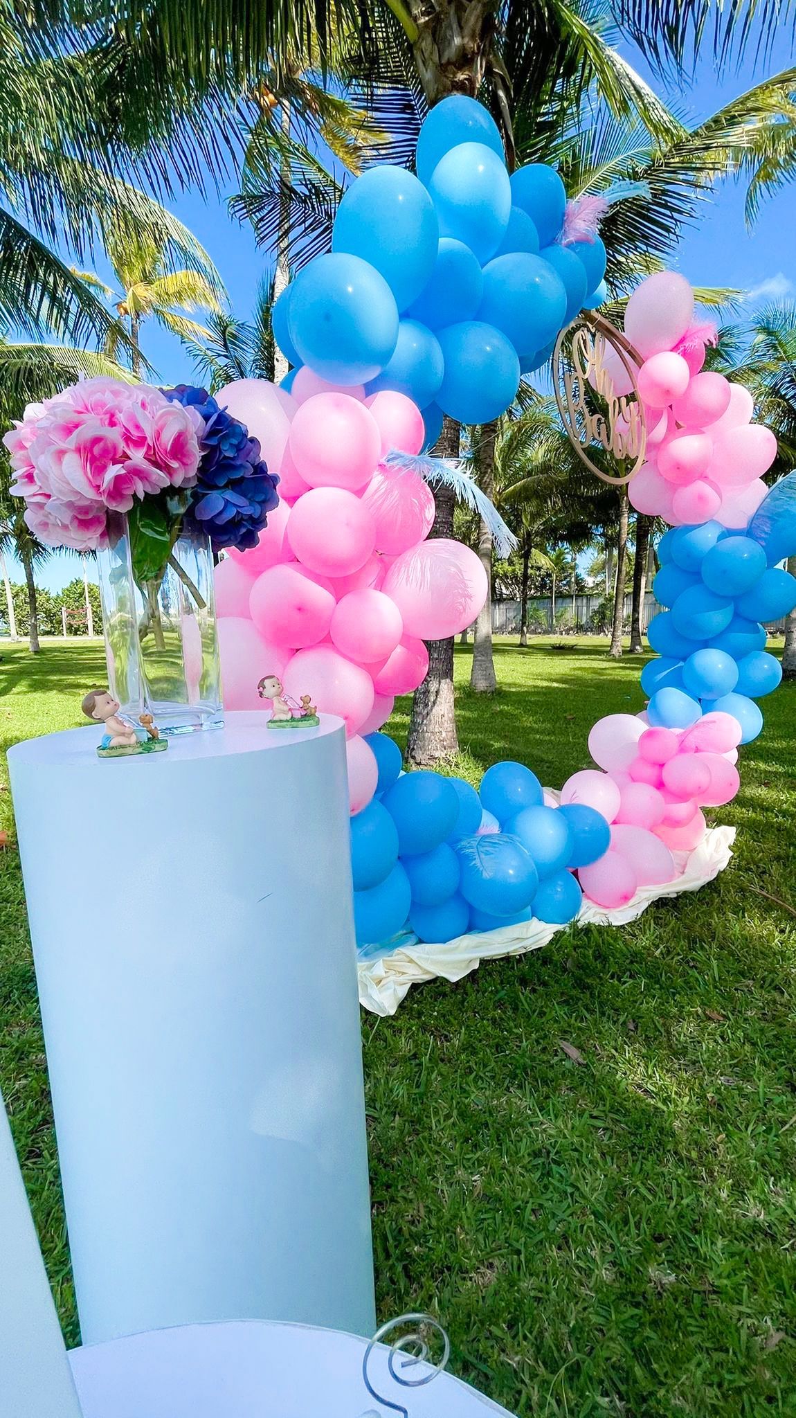 Gender Reveal Decoration Revelacion Del Sexo Fiesta