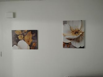 3 prints