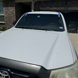 Windshield 