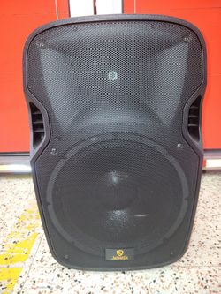 Akustik EP24515-22 15" Passive PA Speaker – 500W RMS – 8 Ohm