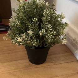 Fake Plant