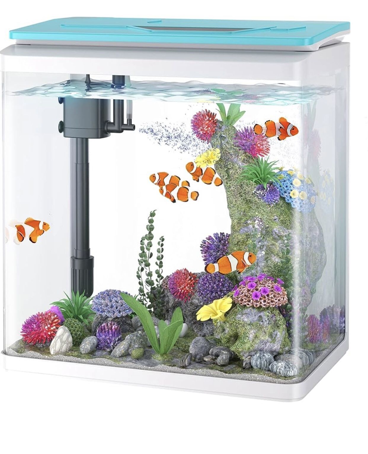PONDON 7.9 Gallon Fish Tank, Glass Aquarium Tank with with Thermometer and Filter, 7 LED Light Colors, Betta Fish Aquarium Starter Kit (White-Blue)