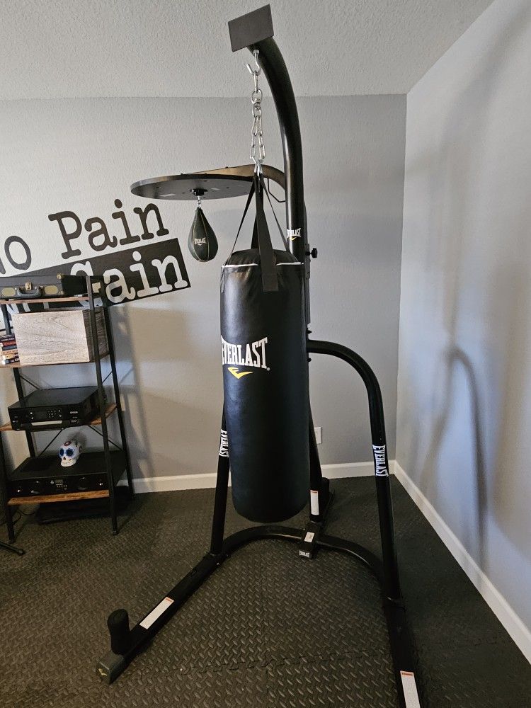 Everlast Punching Bag