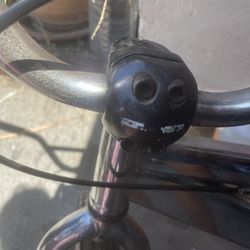 Dino Bmx