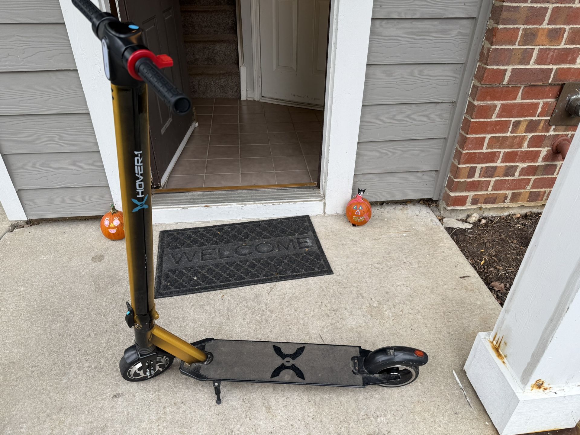 Electric Scooter For Teens / Adults 