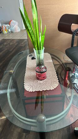 Round Glass Coffee Table
