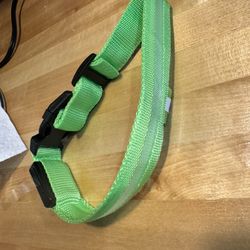Dog Night Light Up Collar