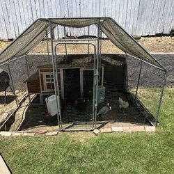 Chicken Coup Chicken Run And More