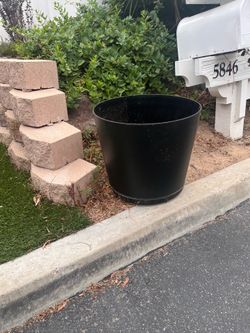 FREE Plastic Pot & Trellis