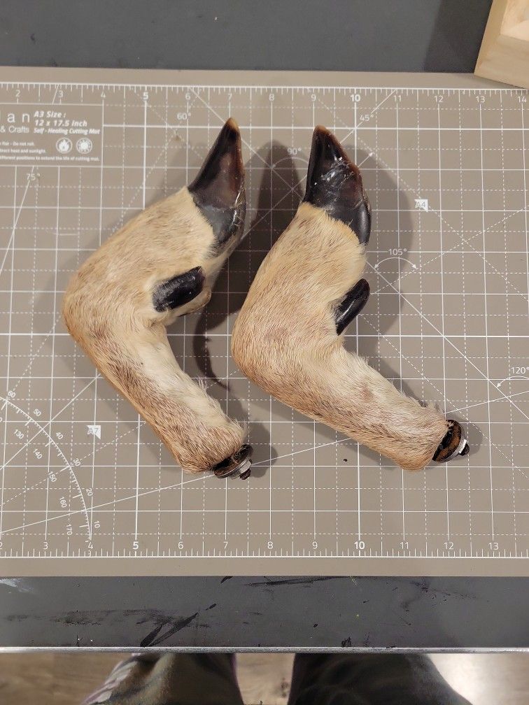 Deer Feet