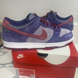 Nike Dunk Size 10.5