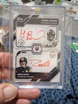 Pittsburgh  steelers auto