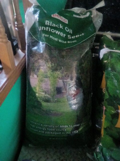 Bird Food