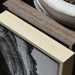 Moving Sale All Canvas $20