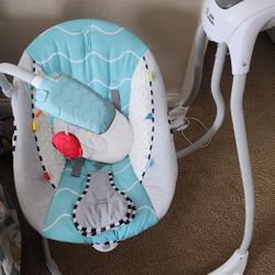 Baby Einstein Swing 