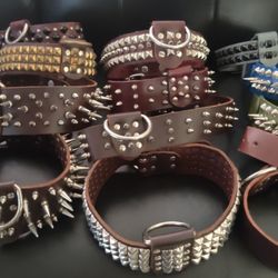 Dog Collars