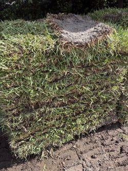 High Value Sod