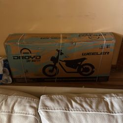 Kids Electric Bicycle 