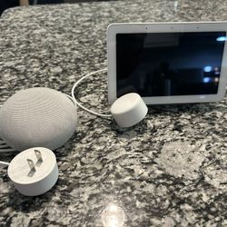 Google Nest Hub + Mini Nest Speaker