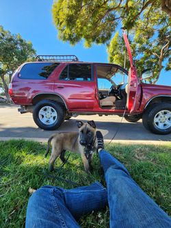 3rd Gen 4Runner OEM wheels
