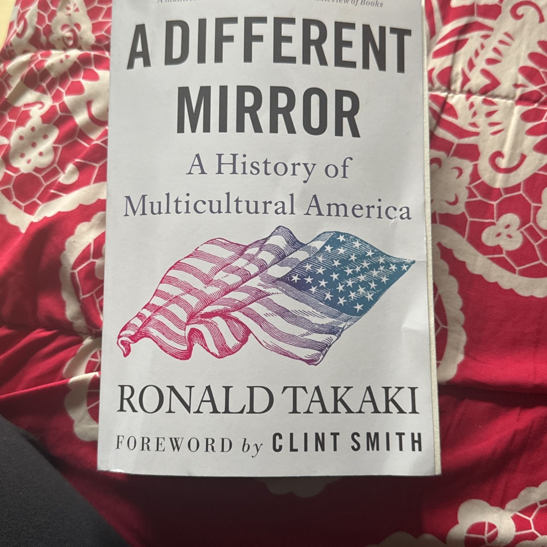 A Different Mirror