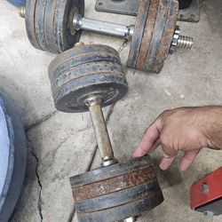 Dumbells.  Mancuernas