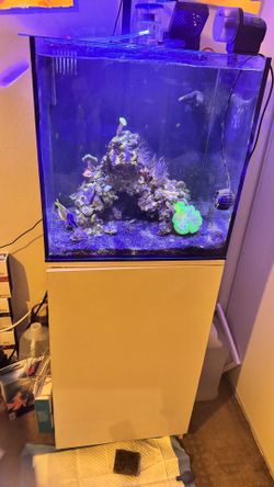 Reef Tank For Sale