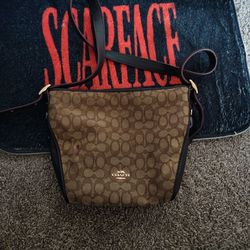 Coach Signature Zoe Hobo Bag  (Style No. 12667).