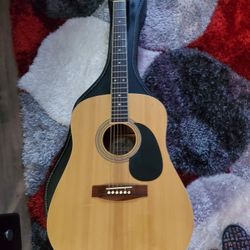 Guitar, Mitchel MD100