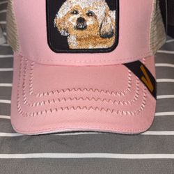 Dog Embroidered Hat 