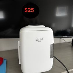 Mini Fridge 