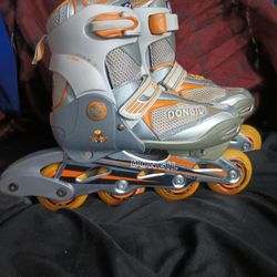 Roller Blades 