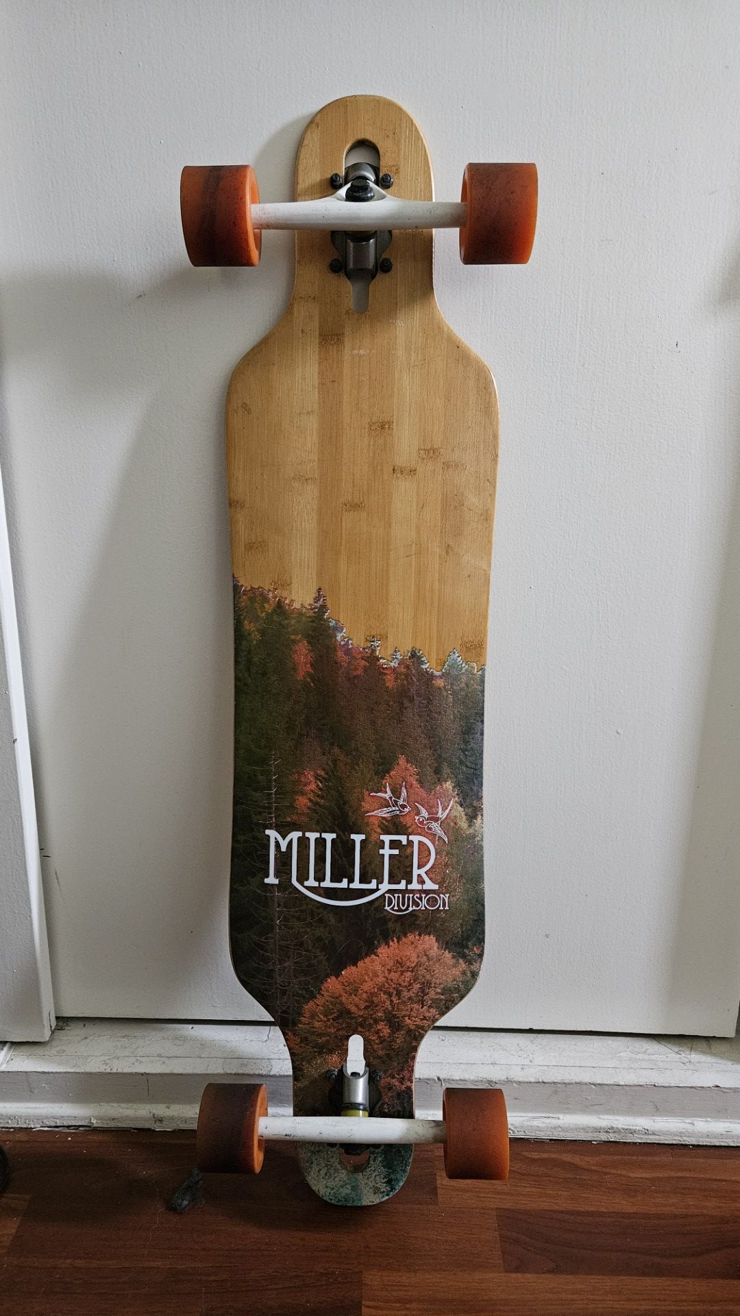 Skateboard Longboard complete