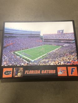 Florida gators canvas painting