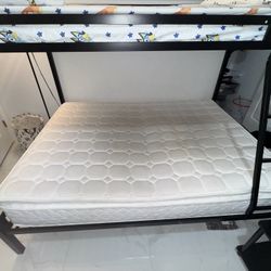 Bunk Beds 
