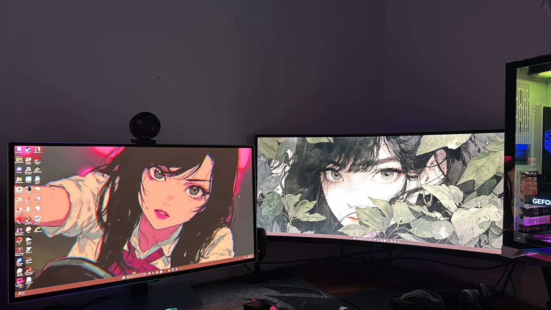 2 Monitors | OLED & UWQHD