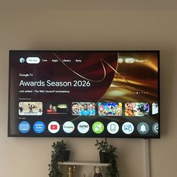 Sony Bravia 55” TV