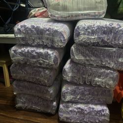 Girls Diapers 3T • 4T