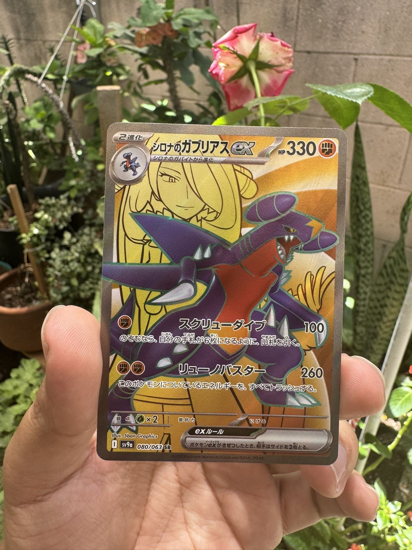 Pokemon Singles - Cynthia’s Garchomp EX (JP)