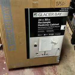 Glacier Bay 24 in. W x 30 in. H Rectangular Brushed Nickel Medicine Cabinet with Mirror