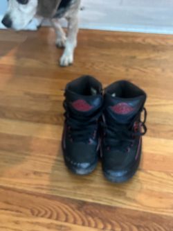 Air Jordan 2 alternate 87