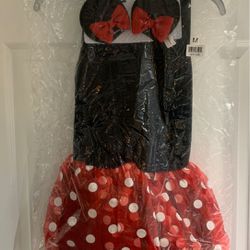 Disney Store Minnie Mouse costume