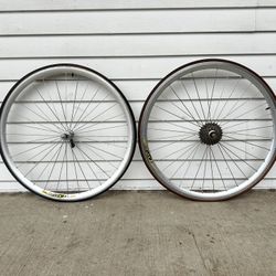 Campagnolo Wheel Set