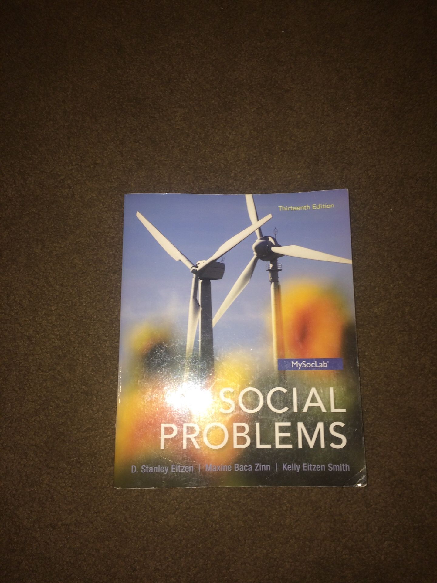 Social Problems 13th edition D. Stanley Eitzen, Maxine Baca Zinn, Kelley Eitzen Smith