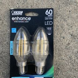 Bold Light Not Free $35 For Everting Not Free 