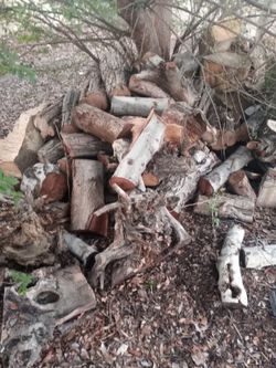 Firewood 🔥$80 All You See Big Pieces