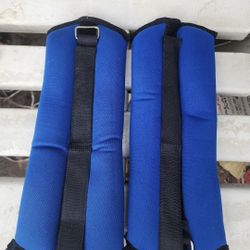 Weights, 5  Lbs Each