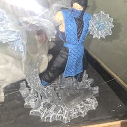 Raiden And Subzero