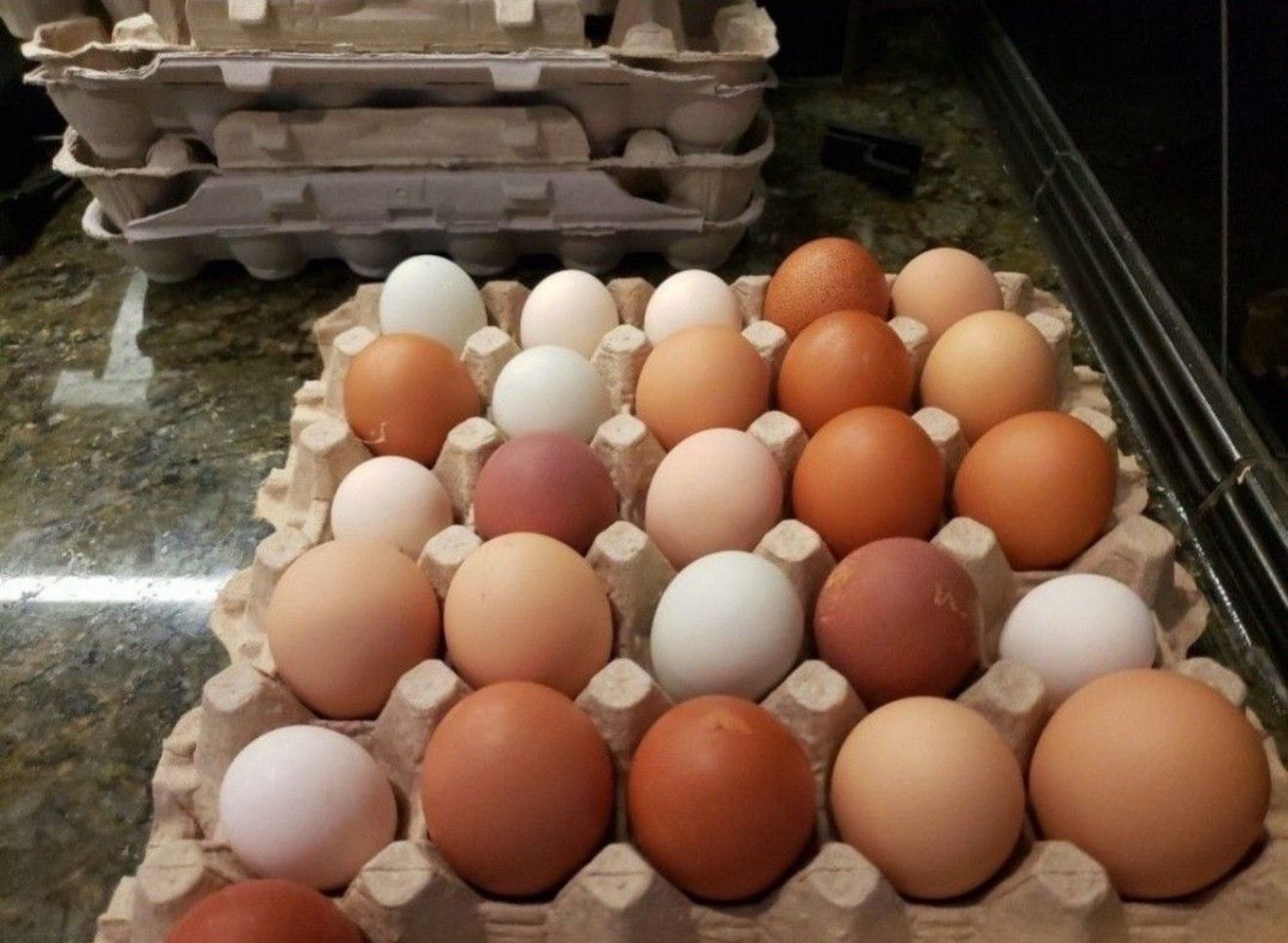 Fresh Farm Eggs $6 -Monroe